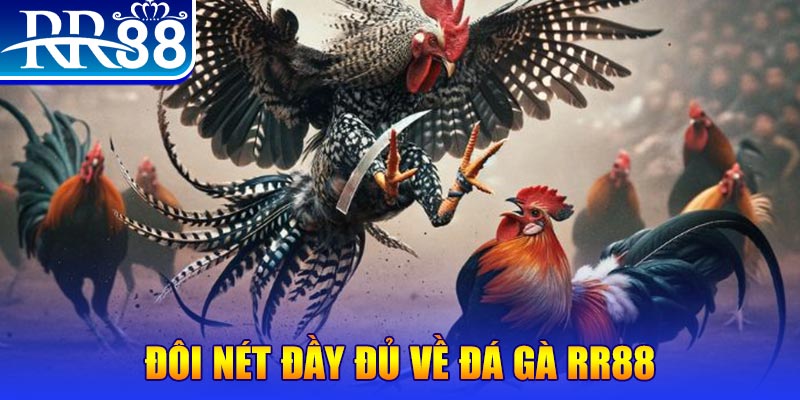 Đá Gà RR88 – Sàn Đấu Thượng Đỉnh Của Chiến Kê Chuyên Nghiệp - ZIBOGE.WEBSITE