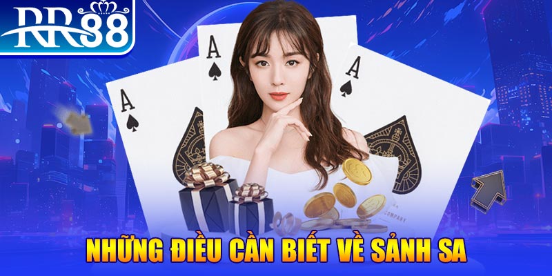 Sảnh SA RR88 - Viên Ngọc Quý Của Làng Giải Trí Trực Tuyến - ZIBOGE.WEBSITE