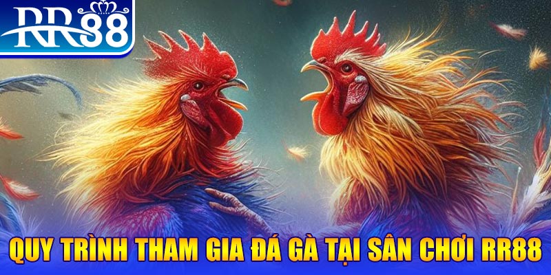 Đá Gà Miền Tây - Gà Chọi RR88 Đỉnh Cao Nhất Việt Nam - ZIBOGE.WEBSITE
