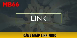 Số Đỏ Casino Uy Tín Chất Lượng Và Ưu Đãi Hấp Dẫn - ZIBOGE.WEBSITE