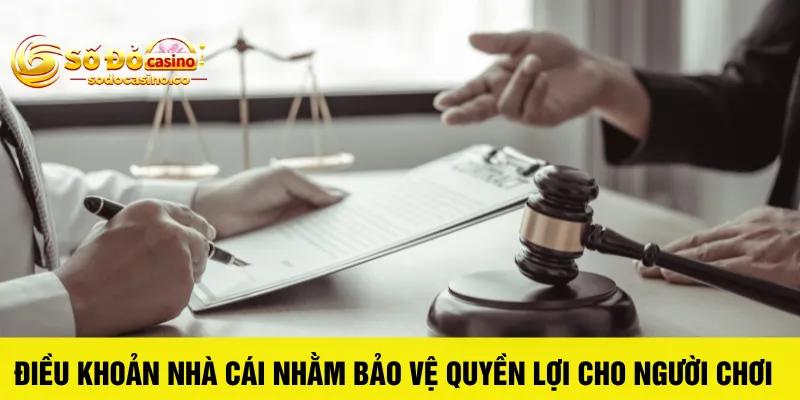 Điều Khoản Điều Kiện Số Đỏ Casino - ZIBOGE.WEBSITE