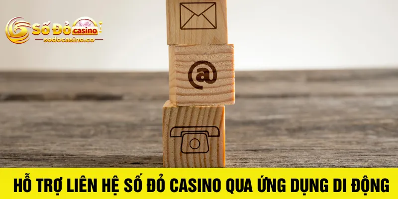 Liên Hệ Số đỏ Casino - ZIBOGE.WEBSITE