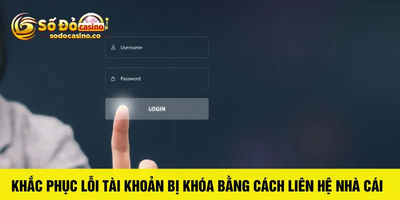 Đăng Nhập Số Đỏ Casino Nhận Quà Khủng Liền Tay - ZIBOGE.WEBSITE