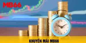 Số Đỏ Casino Uy Tín Chất Lượng Và Ưu Đãi Hấp Dẫn - ZIBOGE.WEBSITE