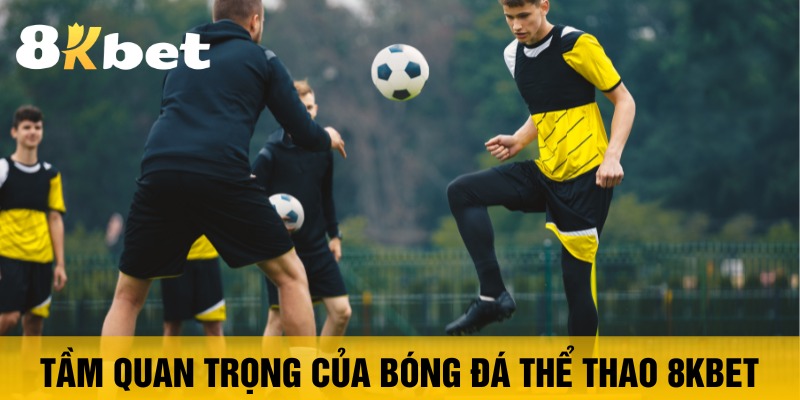 Thể Thao 8Kbet Chinh Phục Đỉnh Cao Với Bóng Đá - ZIBOGE.WEBSITE