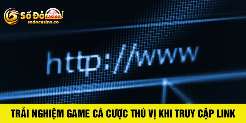 Cách Truy Cập Link Vào Số Đỏ Casino Nhanh Chóng - ZIBOGE.WEBSITE