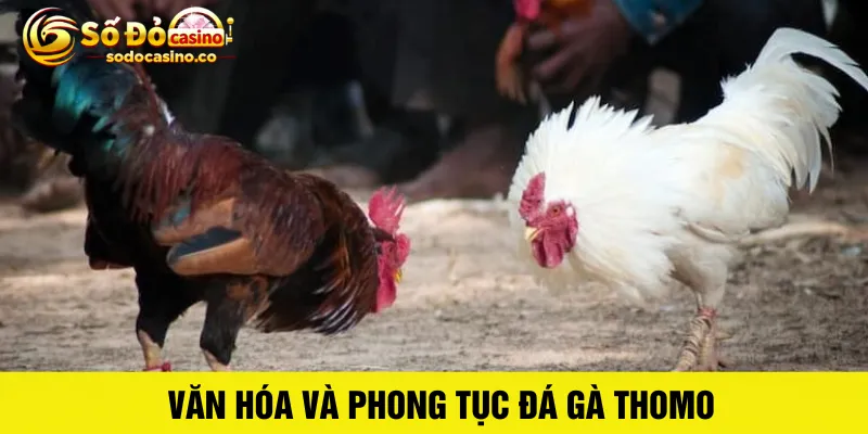 Đá gà trực tiếp thomo - ZIBOGE.WEBSITE