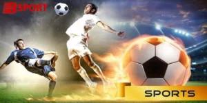 Số Đỏ Casino Uy Tín Chất Lượng Và Ưu Đãi Hấp Dẫn - ZIBOGE.WEBSITE