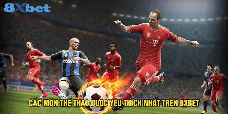 Thể Thao 8XBET Sân Chơi Thể Thao Hấp Dẫn Hàng Đầu - ZIBOGE.WEBSITE