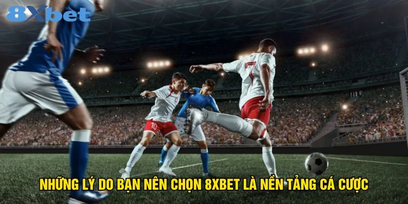 Thể Thao 8XBET Sân Chơi Thể Thao Hấp Dẫn Hàng Đầu - ZIBOGE.WEBSITE
